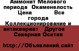 Аммонит Мелового периода. Окаменелость. › Цена ­ 2 800 - Все города Коллекционирование и антиквариат » Другое   . Северная Осетия